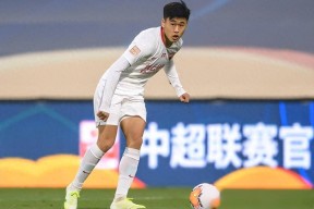  上海申花引进新外援 -开云